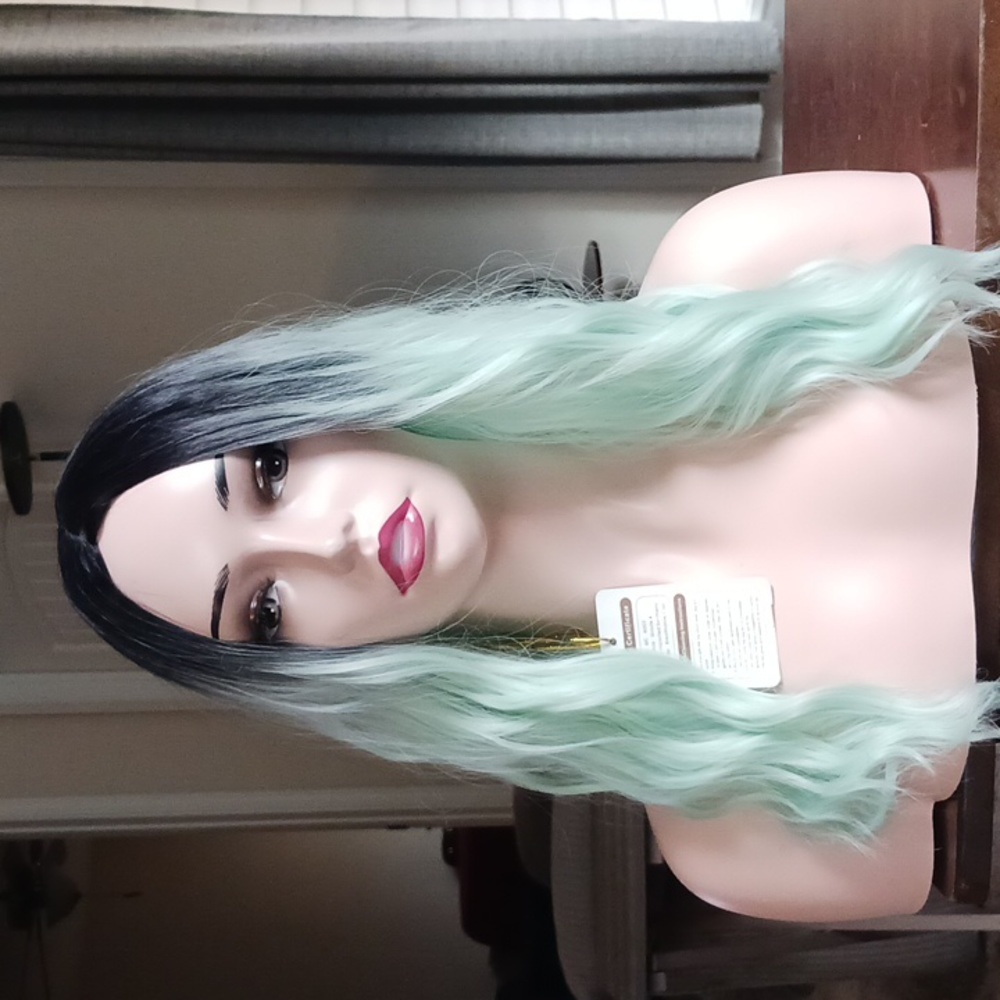 Long 2 toned wig